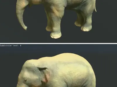 Young  asian elephant Low-poly 3D model