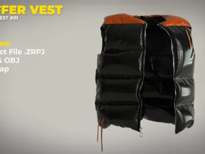 Modern Puffer Vest - Marvelous Designer Clo3D Project 3D model