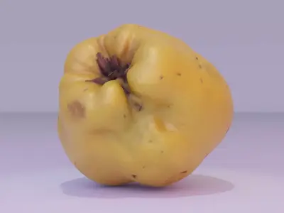 Quince fruit 03 high-poly 3D model
