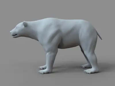 Bear Base Mesh 3D model