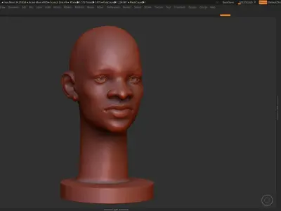 human head modern sculpture 3d print model 109 3D print model