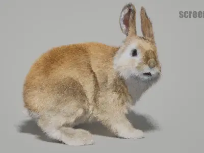 Rabbits Animated UNREAL project  Maya base rig 3D model