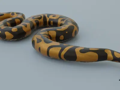 Python Snake - Rigged - Game Ready - PBR  Low-poly 3D model