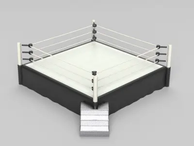 Wrestling Ring 3D model