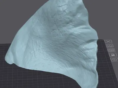 Elephant Wall Decoration Medium 3D Print Model 3D print model