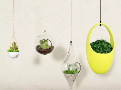 decorative hanging plant 3D model