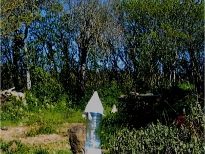 WATER ROCKET 3D print model