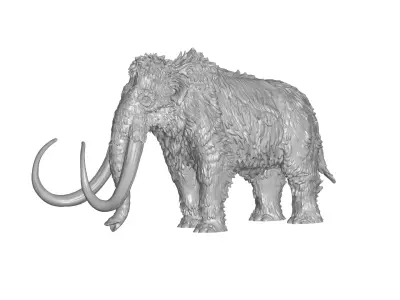 Mammoth 3D model purchase