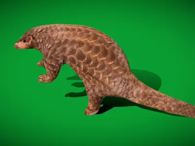 Pangolins Scaly Anteater Low-poly 3D model