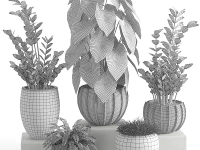 Houseplant 41 3D model
