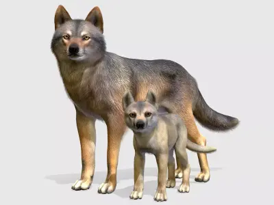 WOLF FAMILY Low-poly 3D model