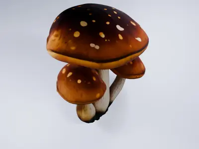 Low Poly Mushrooms - Stylized Forest Prop  Free 3D model