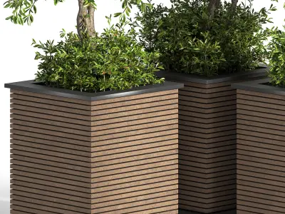 Outdoor Plants tree 10 3D model