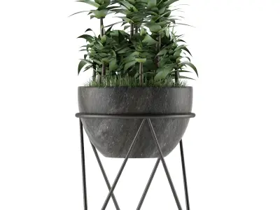 House Plant 21 3D model