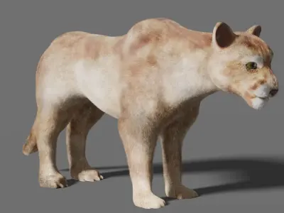 puma 3d lion 3D model