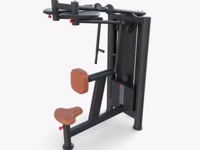 Back swing machine 3D model