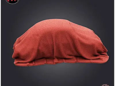 Car Cover Beetle 3D print model