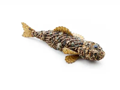 Stonefish Camouflaged Aquatic Creature Model Low-poly 3D model