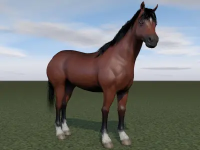 Horse rigging 3D model