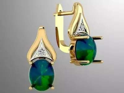 Earrings  dp 1 3D print model