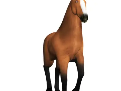 3D Horse Rigged and Animated Low-poly 3D model