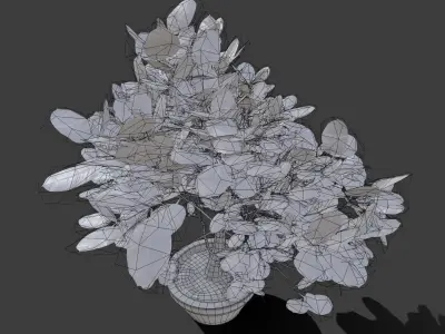Small Plant Game Ready Low-poly 3D model Low-poly 3D model