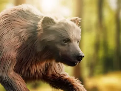 Brown Bear Animated and Rigged 3D model