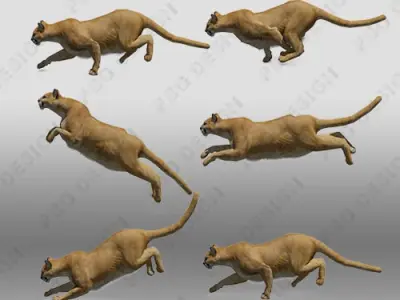 Mountain Lion Animated 3D model