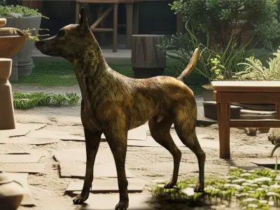 Coyote dog Low-poly 3D model