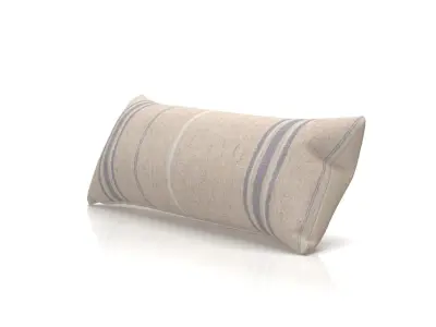 Neptune Grace Cushion 3D model