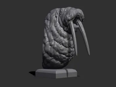Walrus bust 3D print model