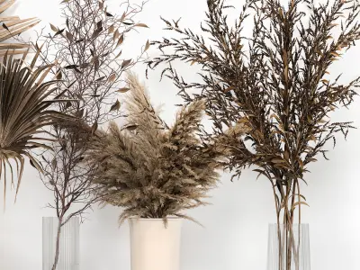 Bouquet collection of dried flowers in a vase 181 3D model