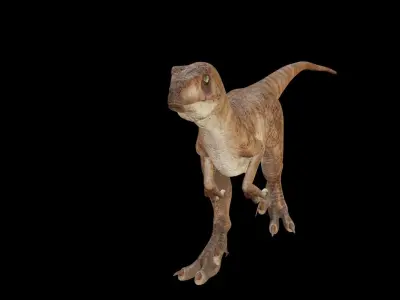 Raptor 3D model