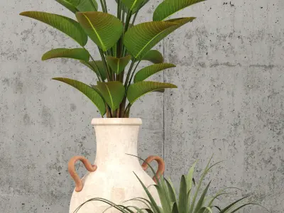 Plants collection 59 3D model