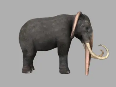 Asiatic Elephant Rig Low-poly 3D model