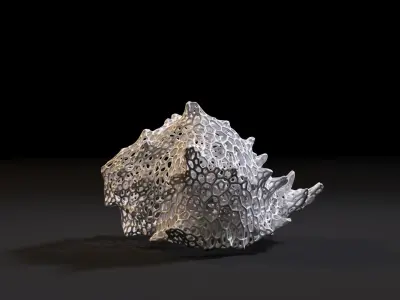 Sea shell 3D print model