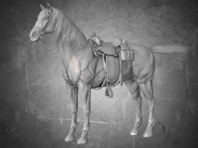 Horse - War 3D model