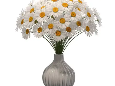 Chamomile in vase 3D model