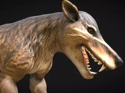 Hyaenodon gigas  Apex Predator of the Eocene Low-poly 3D model