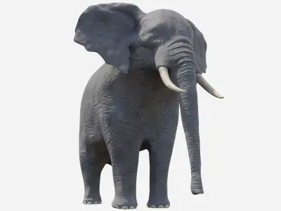 African Elephant - Loxodonta Africana Low-poly 3D model