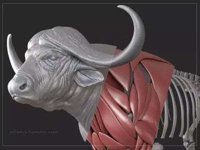 Removed Item 3D model