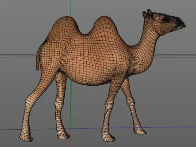 Camel Low-poly 3D model 5