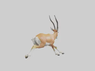 Springbok running model 3D model