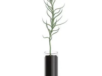 Plant in Glass Pot 3D model