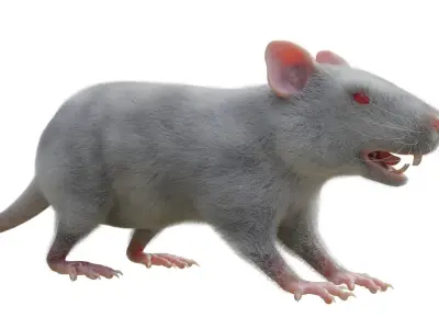 RET FOR VFX CGI 3D model