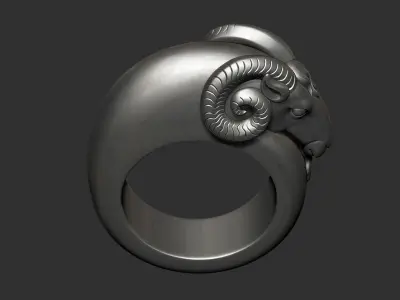 ram ring 3D print model