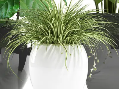 plants 119 3D model