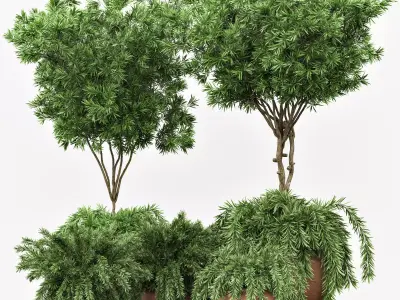 Outdoor Plants tree 02 3D model