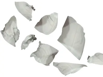 Crumpled Napkins Set 3D model