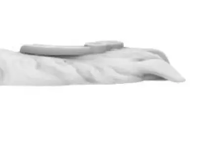 HORSE HEAD FOR RING - CABEZA DE CABALLO PARA ANILLO 3D print model